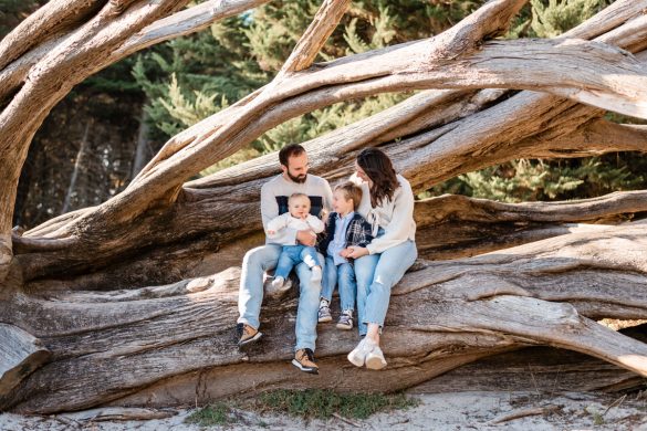 Portrait de famille - Finistère